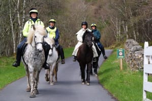 Eriskay ponies being ridden