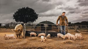 Jimmy’s Farm & Wildlife Park becomes first Rare Breeds Approved Associate