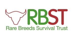 RBST Board Meeting Minutes