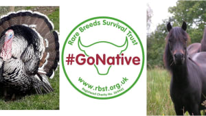 Rare Breeds Briefing – A Conservation Strategy